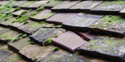 Market Bosworth roof repair costs
